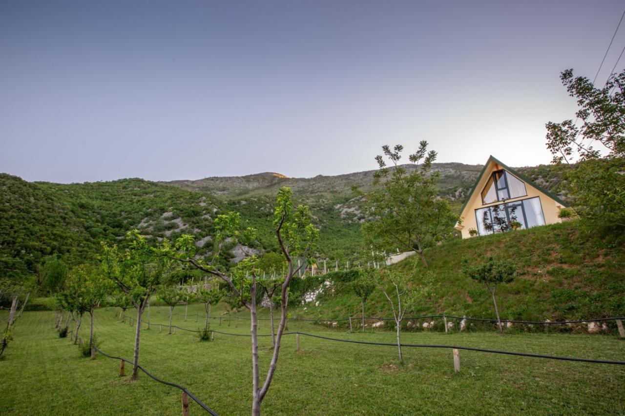 Cozy House Ostrog Guest House Niksic Luaran gambar